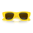 0RB4940__683087__P21__shad__cfr.webp