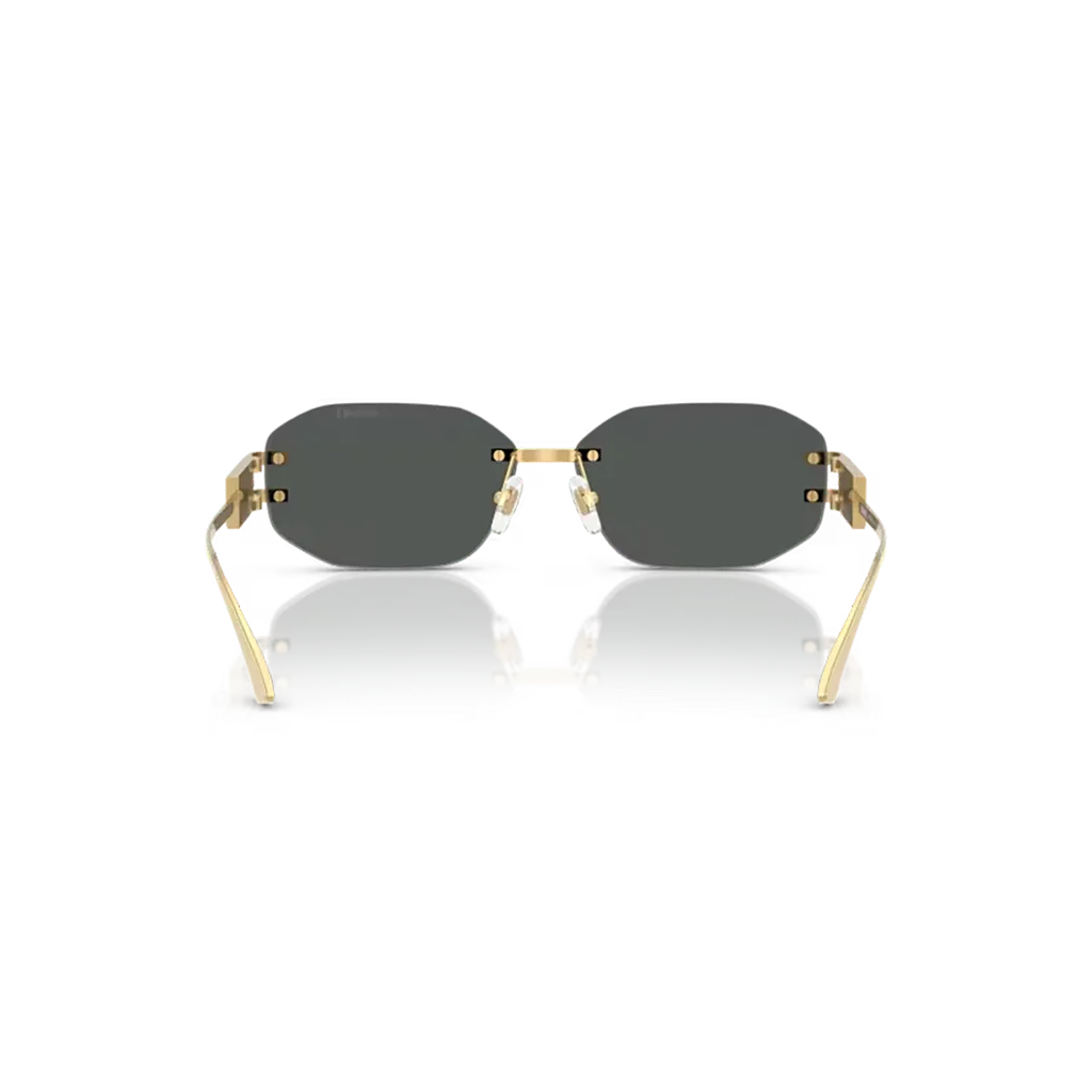 0VE2274__100287__P21__shad__bk.webp