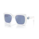 Swarovski Sunglasses SK6001 100355 55