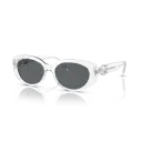Swarovski Sunglasses SK6002 102787 53