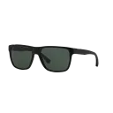 Emporio Armani Sunglasses EA4035 501771 58