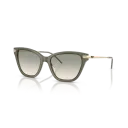 Emporio Armani Sunglasses EA4251 62642C 54