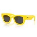 Ray-Ban Sunglasses RB4940 683087 47