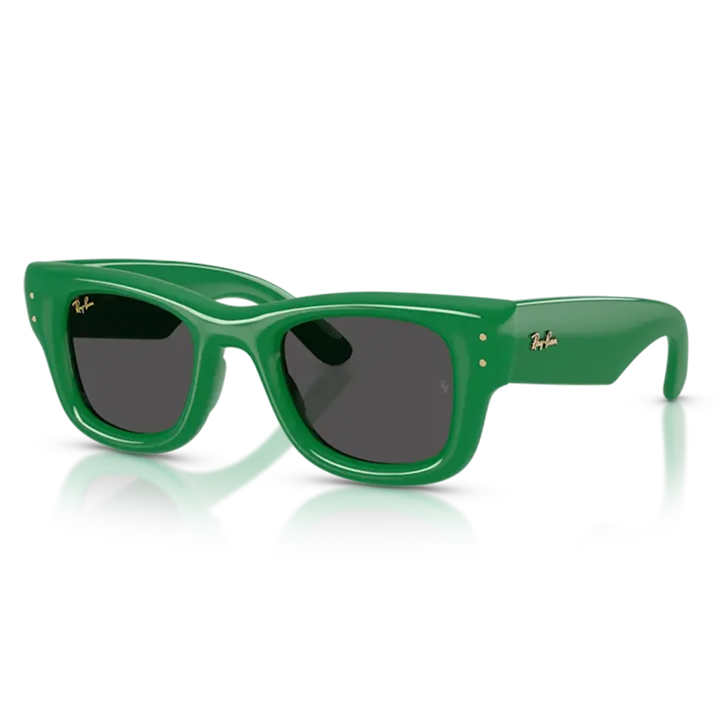 Ray-Ban Sunglasses RB4940 683487 47