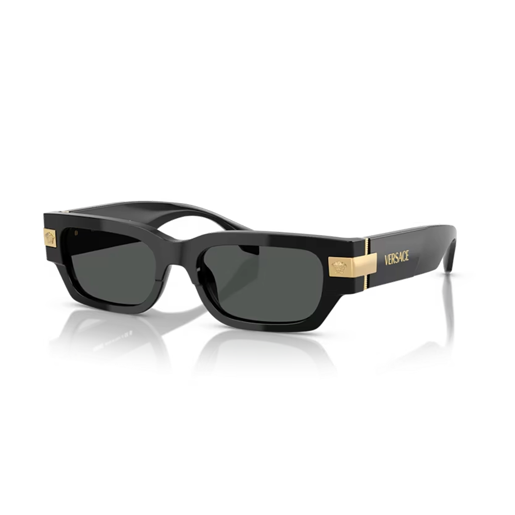 Versace Sunglasses VE4465 GB1/87 53