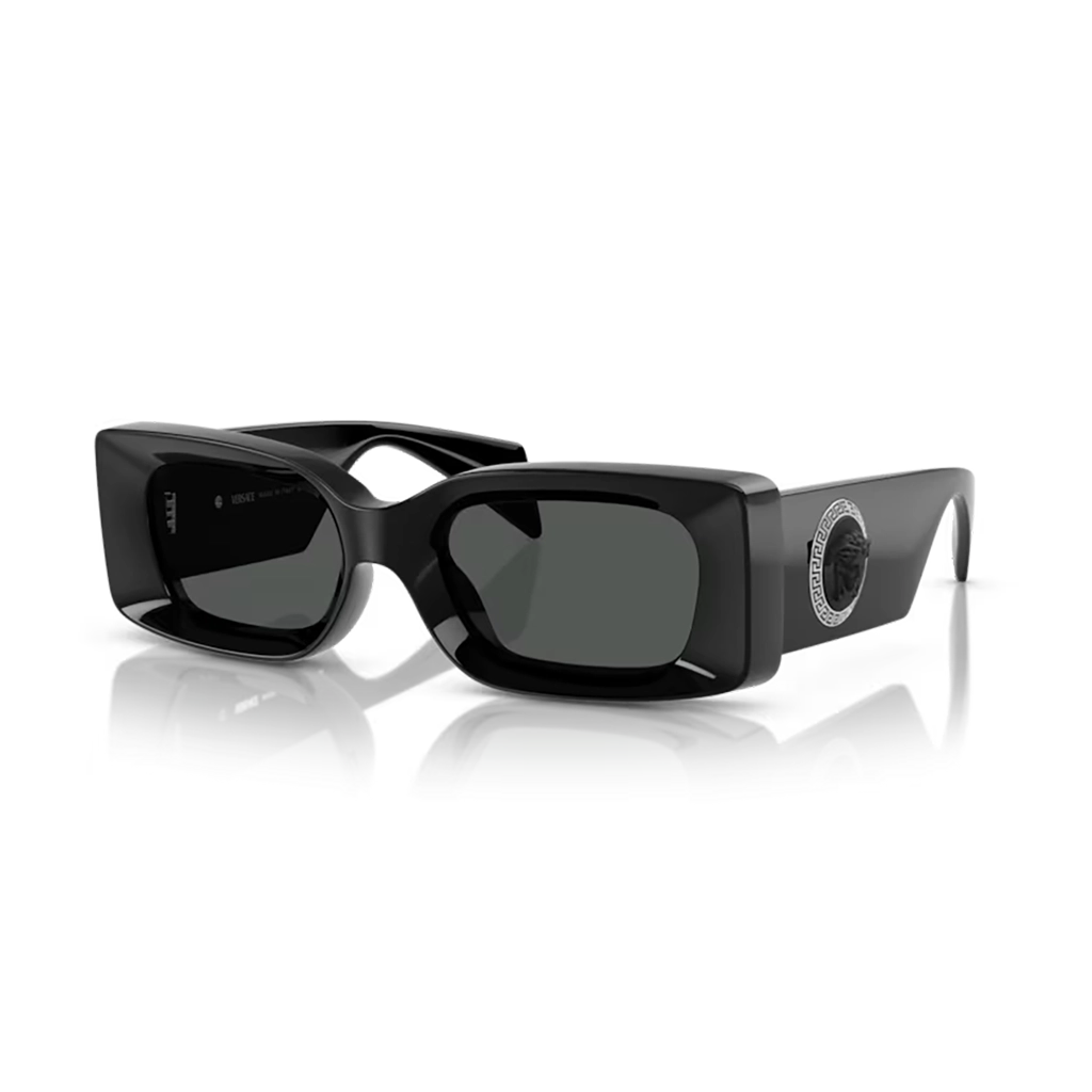 Versace Sunglasses VE4474U GB1/87 52