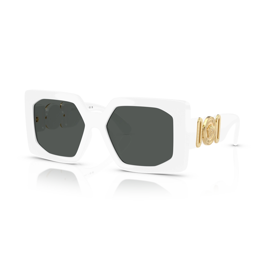 Versace Sunglasses VE4478U 314/87 55