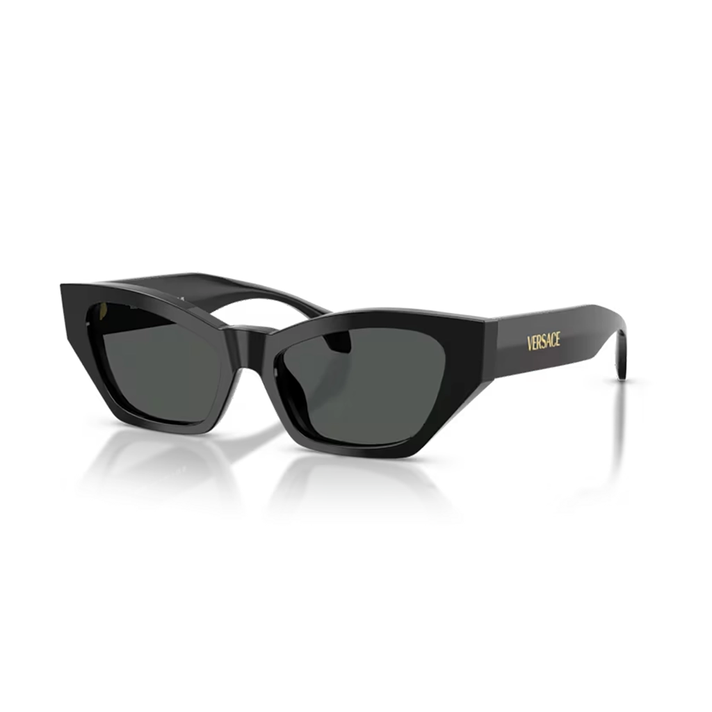 Versace Sunglasses VE4488U GB1/87 53