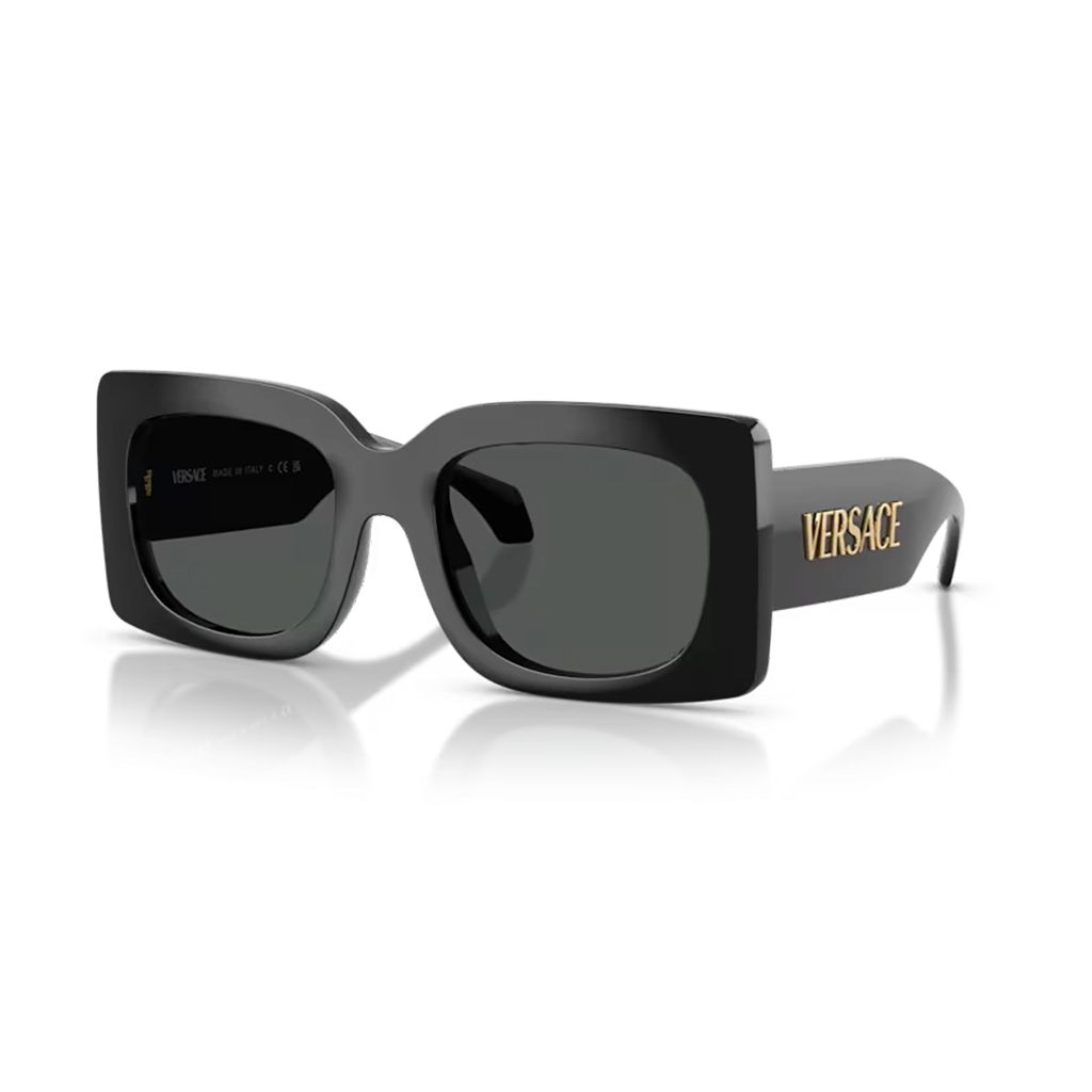 Versace Sunglasses VE4496U GB1/87 54